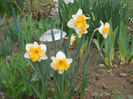 DSCN0799