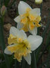 DSCN0802