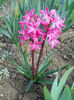DSCN0807