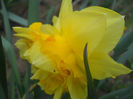 DSCN0809