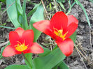 DSCN0818