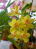 DSCN0823