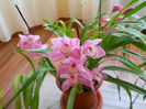 DSCN0824