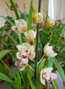 DSCN0825