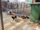 2014-03-23 10.09.54