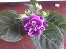 20140324_154002