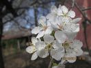 IMG_3316