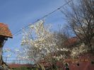 IMG_3297
