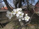 IMG_3310