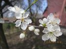 IMG_3319