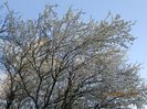 IMG_3374