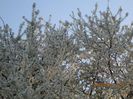 IMG_3379