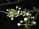 IMG_3405