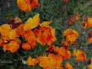 DSCN8179