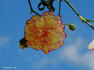 DSCN8184