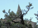 DSCN8191