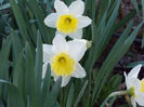 DSCN0874
