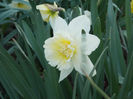 DSCN0877