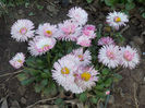 DSCN0879