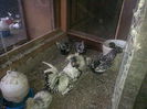 IMG_20140325_072100