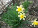 Picture 004