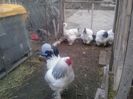 20140325_172851