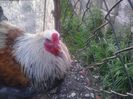 20140325_173031