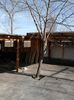 IMG_20140317_163606