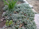 Picture 012