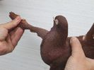 vandut