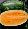 Pepene verde Orange Flesh Tendersweet,