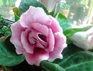 20140325_120756