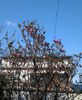 20140327_160301(1)