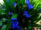 DSC01080