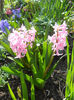 DSCN0874_024