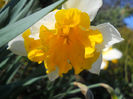 DSCN0884_034