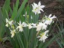 DSCN0885_035