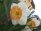 DSCN0890_040