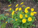 DSCN0901_051