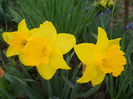 DSCN0904_054