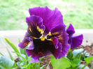 DSCN0911_061