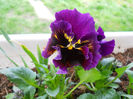 DSCN0916_066