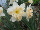 DSCN0921_071