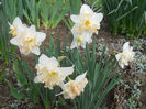 DSCN0922_072