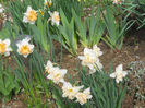 DSCN0925_075
