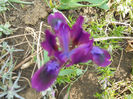 DSCN0929_079