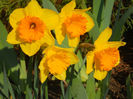 DSCN0934_084