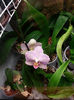 20140328_182556