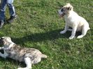 Picture 1291