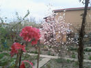 2014-03-28 06.52.07